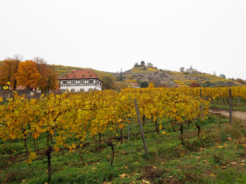 Radebeul