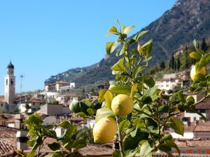 Gardsee - Limone sul Garda, Zitrone