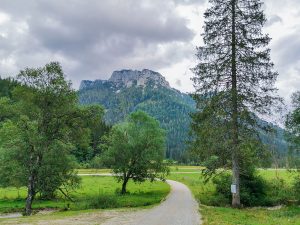 Weitwandern Chiemsee - Weitsee, Langerbauer Alm