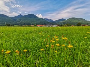 Weitwandern Chiemsee - Weitsee, Rottau