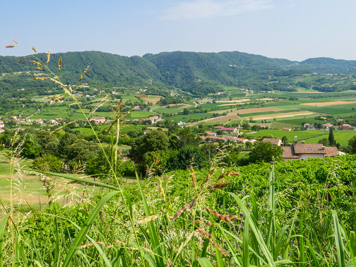 Radreise Vicenza - Brendola Landschaft