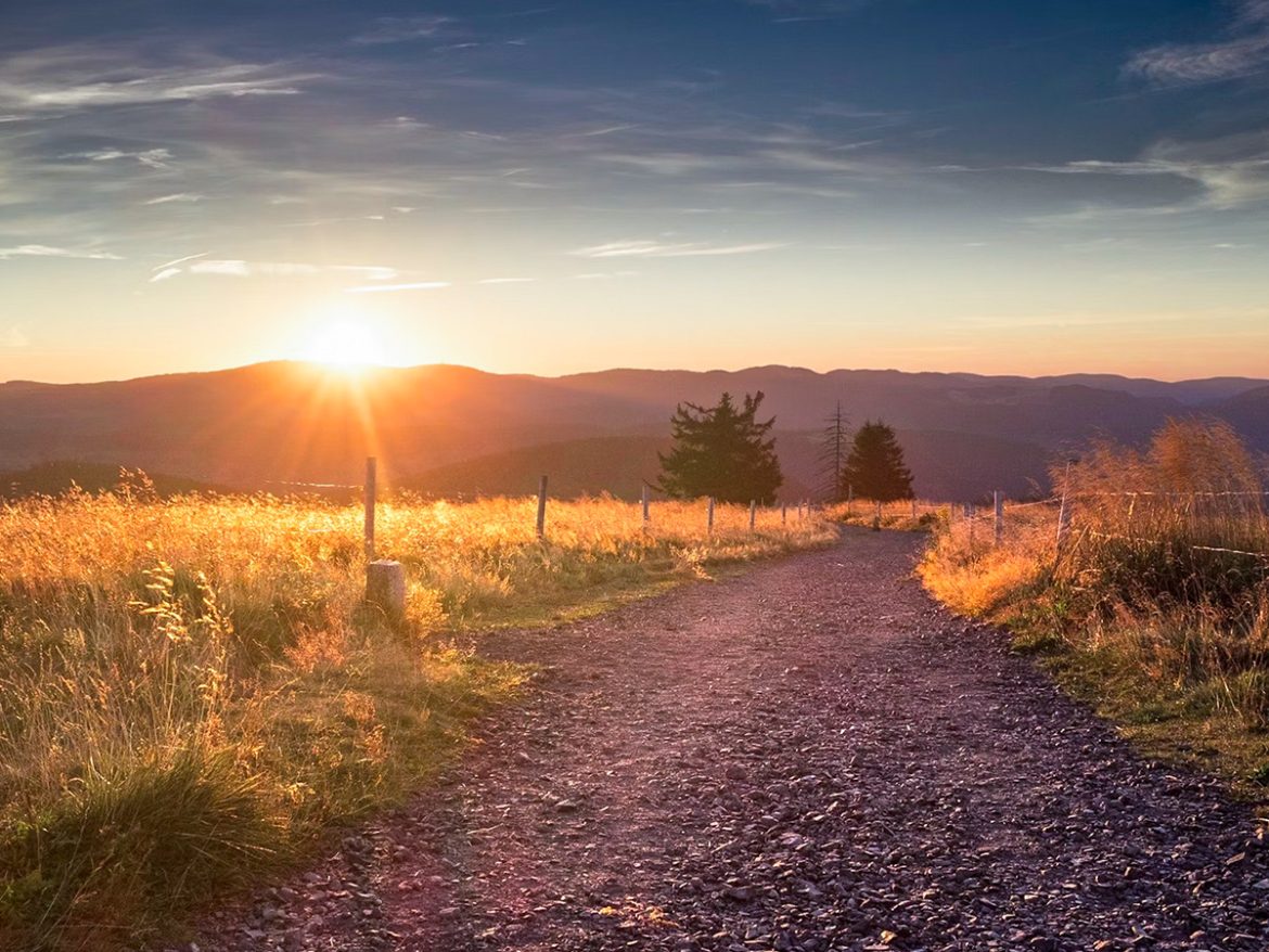 Schwarzwald – Aktivurlaub für Paare für Paare Schwarzwald - Aktivurlaub für Paare für Paare