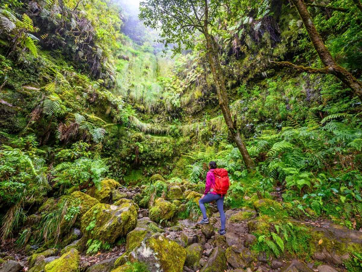 Caldeirão Verde Wanderung auf Madeira